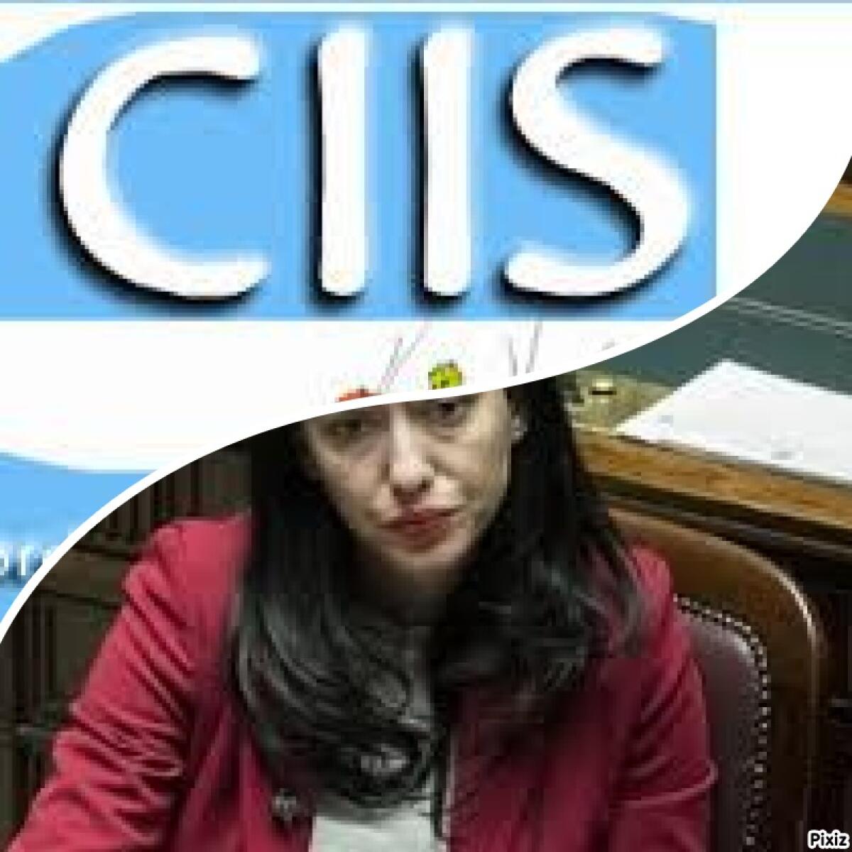 Scrive il CIIS (Coordinamento Italiano Insegnanti di Sostegno) - 