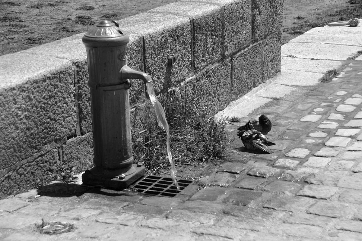 22 marzo, giornata mondiale dell'acqua -