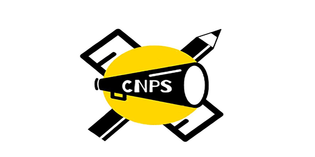 Il Coordinamento Nazionale Precari Scuola é contro il Green pass imposto secondo queste modalità - 