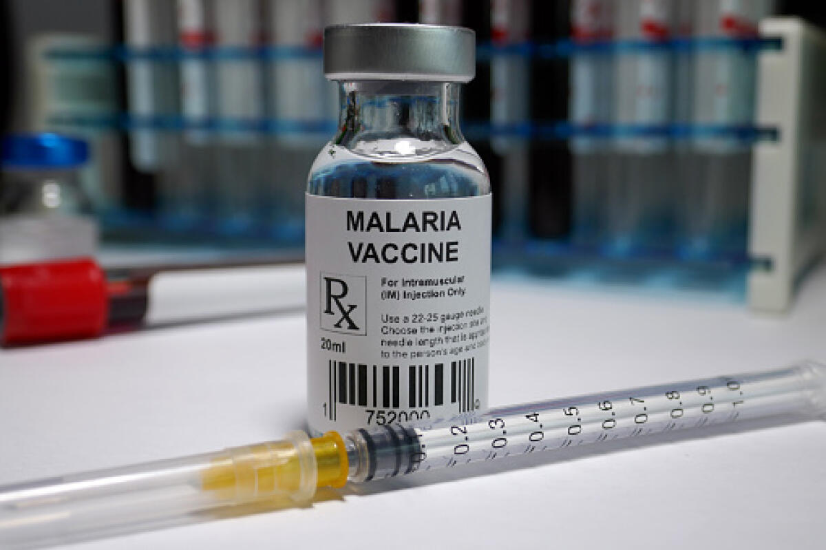 È una svolta epocale, è il sogno che si avvera: finalmente esiste un vaccino per la malaria - Malaria - parasitic disease vaccine under research.