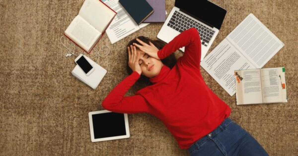 Burocratizzazione della scuola - 