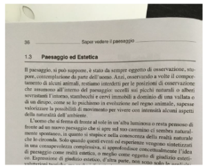 In D. Pandakovic, A. Dal Sasso, Saper vedere il paesaggio, p.36.
