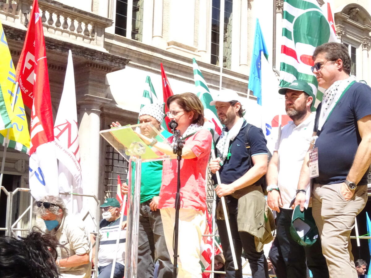 Domanda di assegnazione provvisoria a tutto il personale della scuola che ha necessità di ricongiungersi alla propria famiglia - 