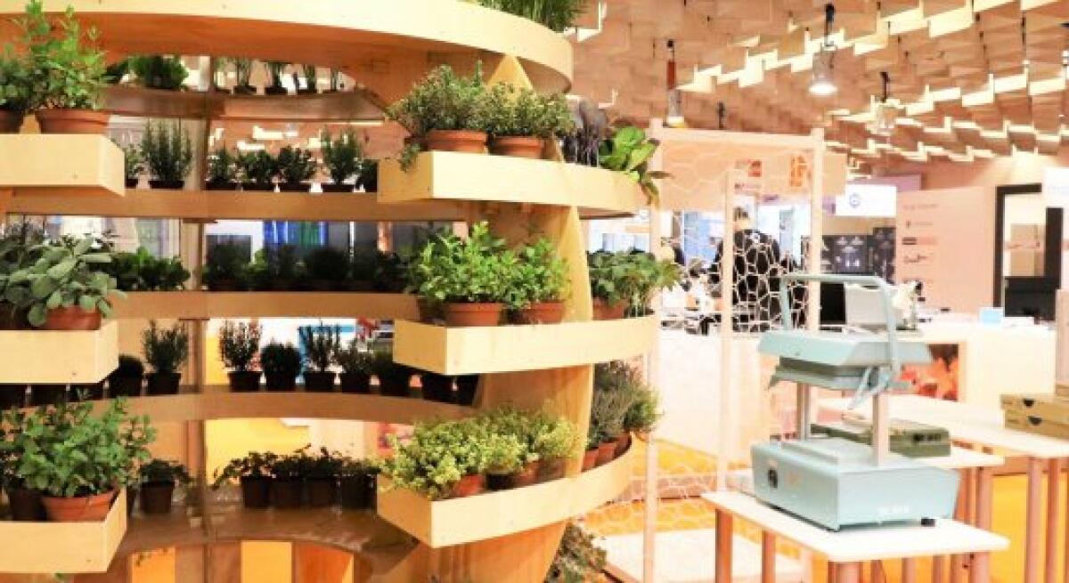 Bandi Edugreen: miraggio o la più rosea delle realtà? -