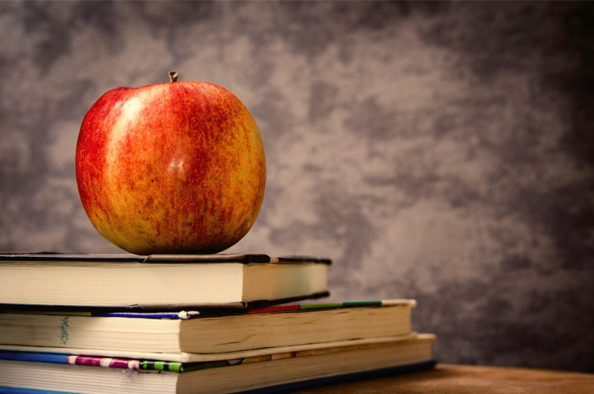 Anna Angelucci: Le “due educazioni”: insegnare lingua e letteratura a scuola’ -
