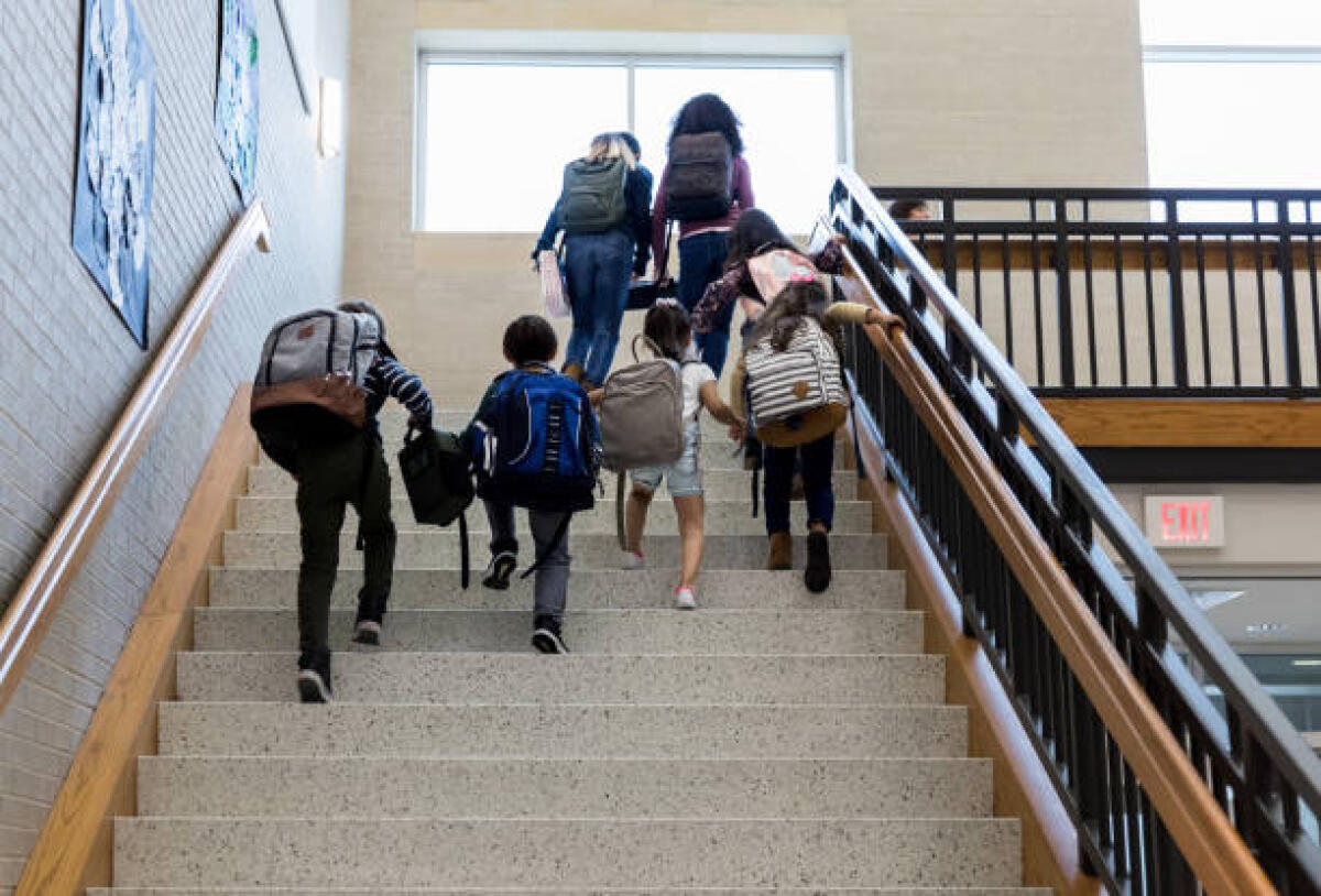 SBC: l'open day del ringraziamento ai fessi che lavorano gratis - A low angle view of children with backpacks climbing the school staircase on their way to class.