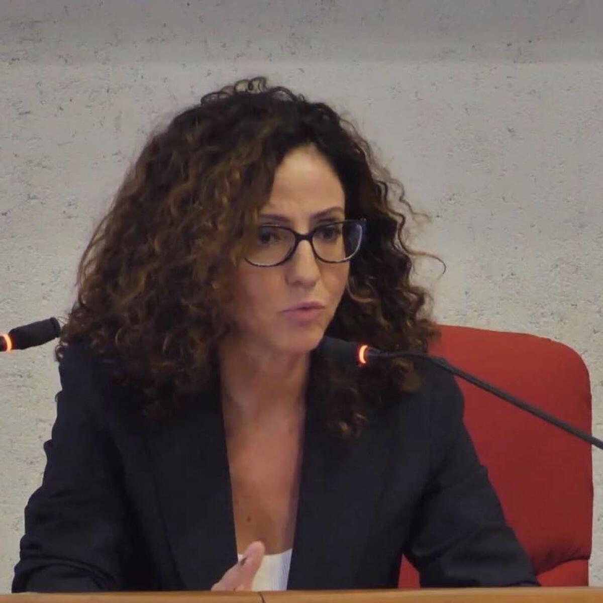 Precariato e concorsi scuola. Al tavolo plenario l'avvocato Vincenzina Salvatore: “Non è più possibile risolvere i problemi della scuola nelle aule giudiziarie.” -