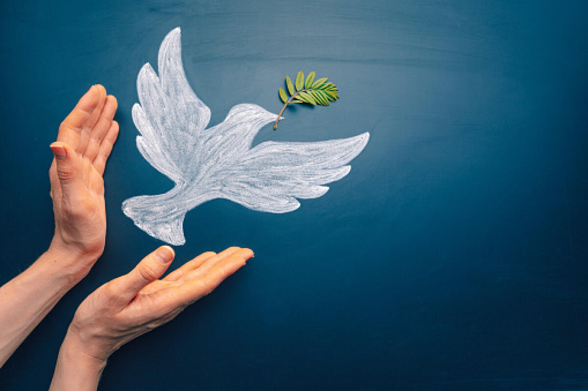 "Il Manifesto della Pace" del giovanissimo Gioele - Dove of peace concept. Symbol of freedom and international day of peace. Hands let out chalk painted dove with olive branch.