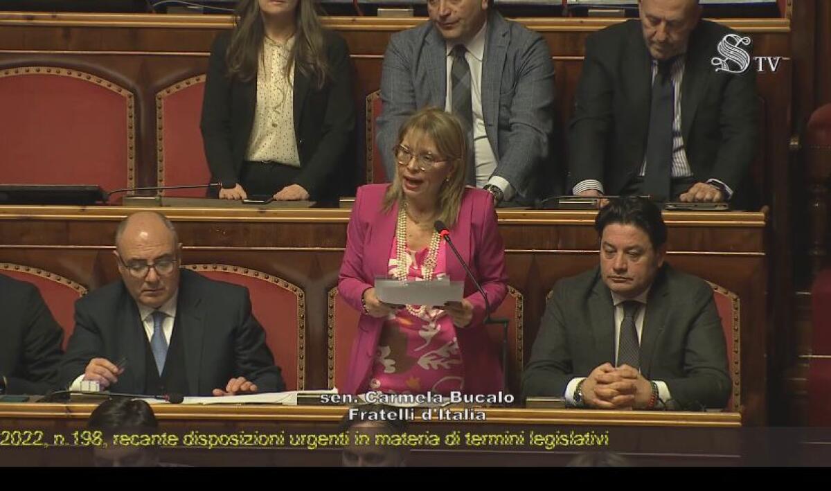 Ella Bucalo (FdI): "Con questo decreto è stato fatto un lavoro importante, sinergico e incisivo su molti temi" - 