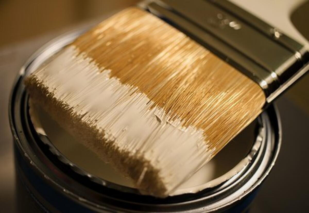 SBC : I docenti imbianchini di Sala Consilina squalificano il ruolo dell'insegnante -