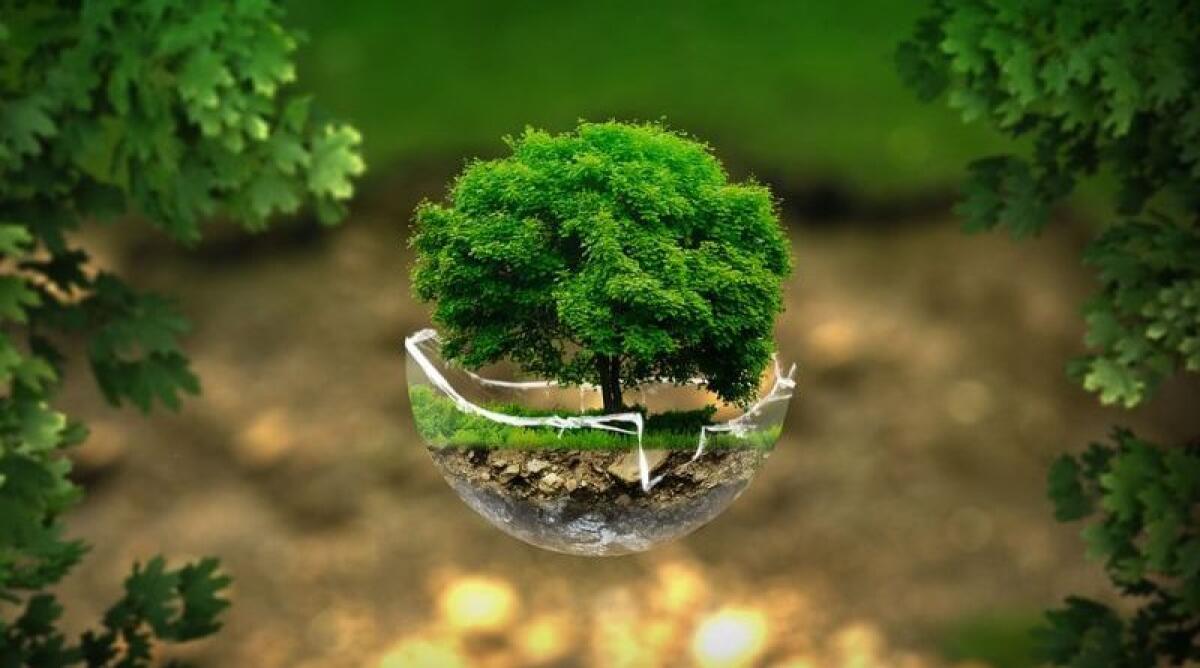 Iniziative per la Giornata mondiale della Natura 2023 -