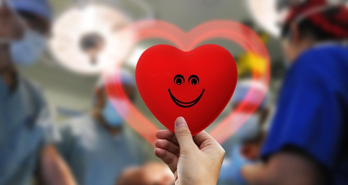 Roma - Domani 18 Maggio al via al Policlinico Umberto I un corso sulla donazione degli organi -