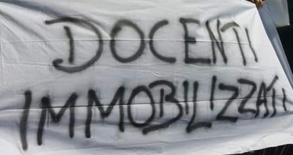 Comitato Nazionale Docenti Immobilizzati: "Ascoltateci, è tempo per noi di tornare a casa. Grazie" - 