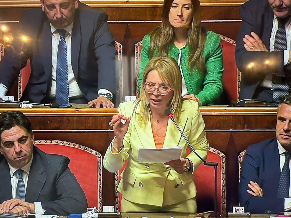 Bucalo, (FDI): "entro tre mesi liceo made in italy sarà realtà" - 