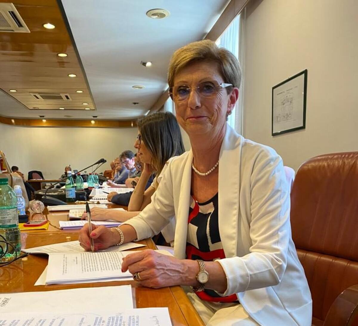 CCNL. Intervista a Elvira Serafini. SNALS - CONFSAL - 