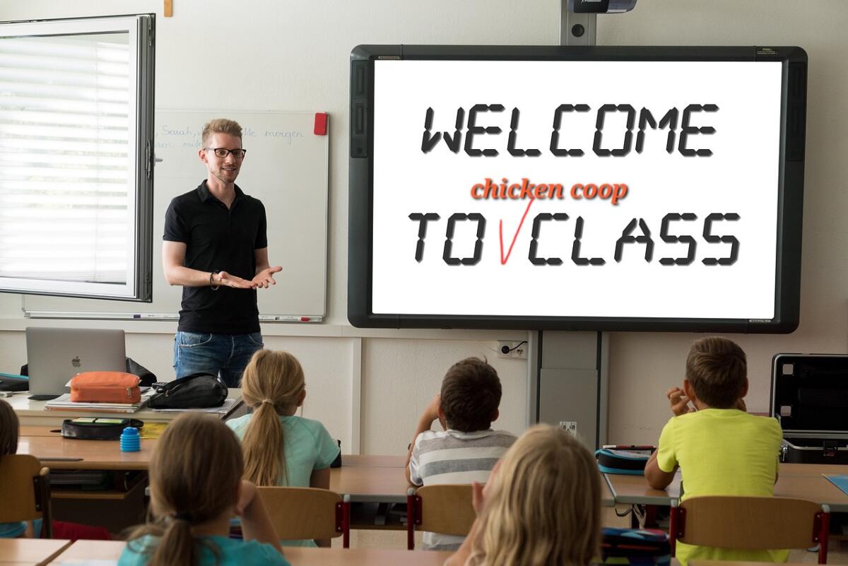 Classi pollaio: il no dei docenti - 