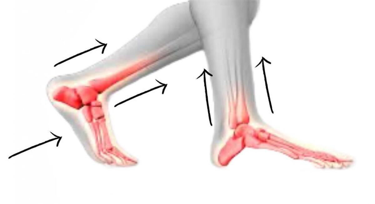Dolore ai piedi o caviglie? La causa è altrove - 
