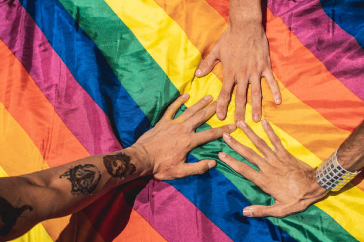 Valditara “apre” al personale transgender (e rafforza l’inclusione) - LGBTQI Pride Event, Gay Pride Parade, Pride, Homosexual, Hand