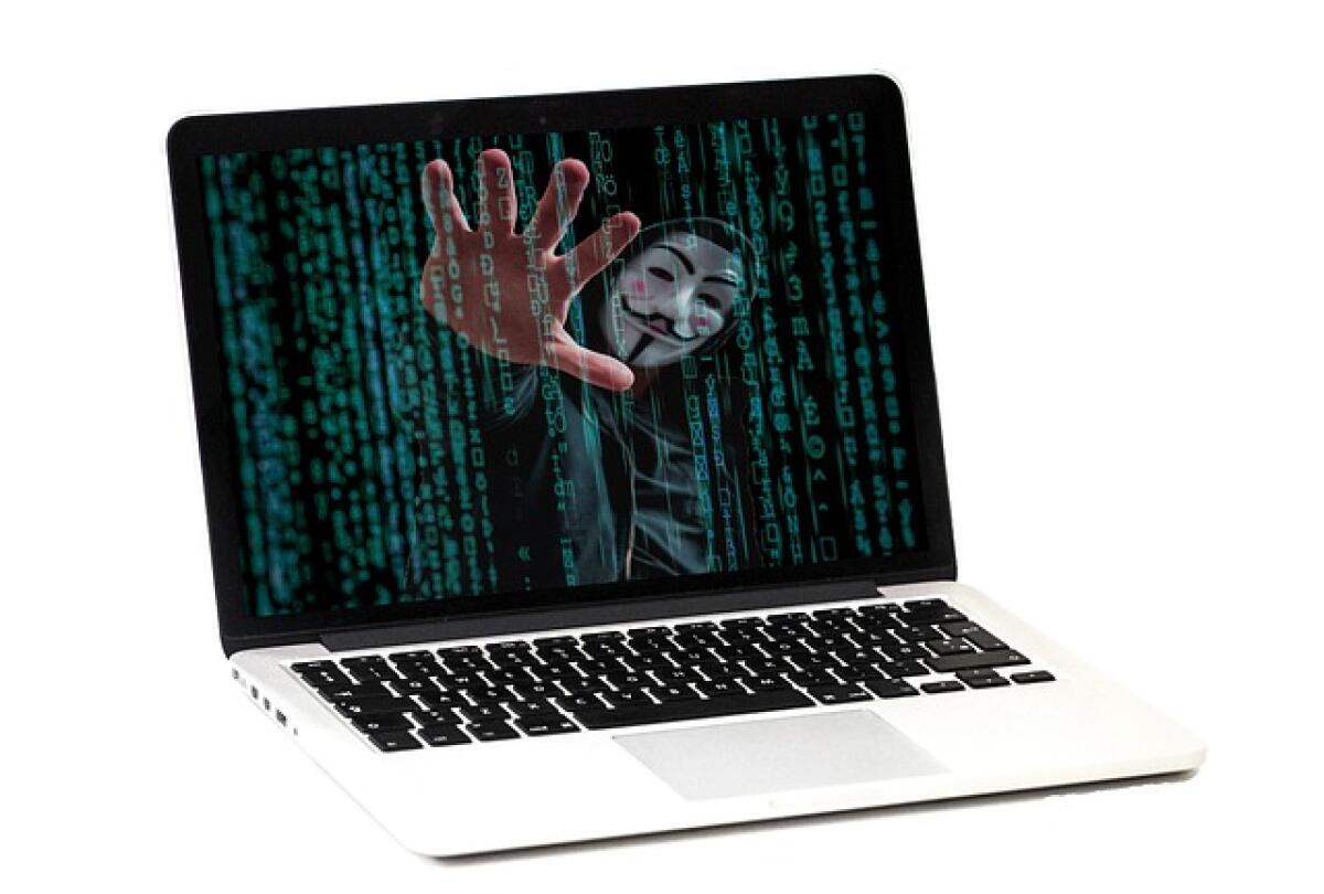 Tfa sostegno 2023, attacco hacker al sito Unisa, Tommasetti: “Migliaia di studenti senza informazioni, fate presto!” -