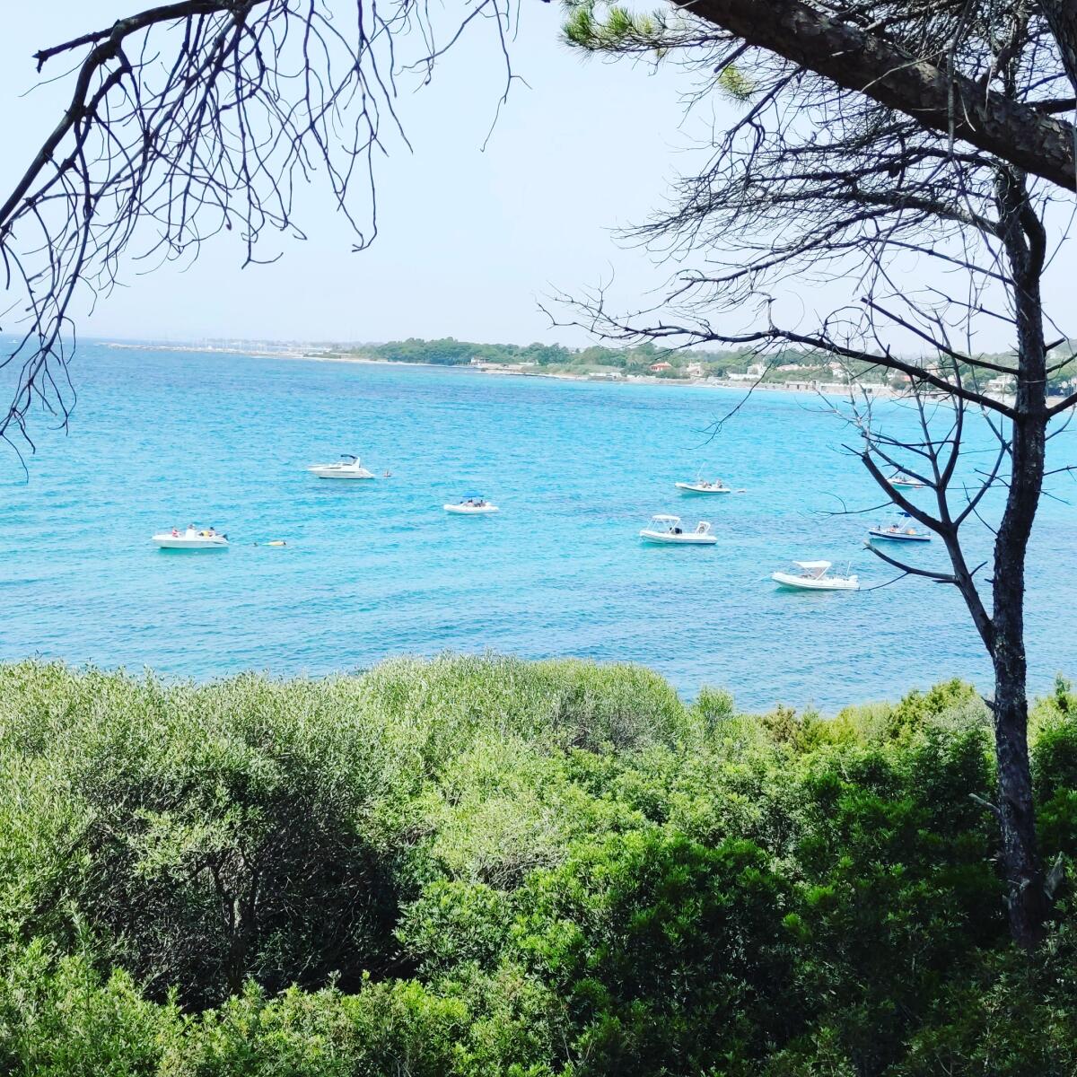 Buon ferragosto ai nostri lettori! -