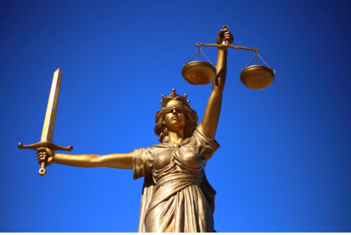 LES e Liceo del Made in Italy: la proposta di Apidge - 