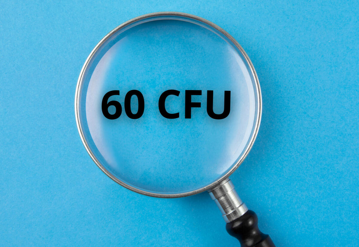 Linee guida Anvur per abilitazione docenti 60 CFU -