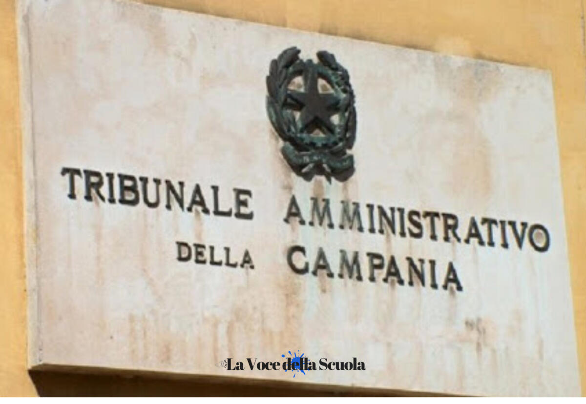 Dimensionamento, il Tar Campania ferma tutto e chiede l'intervento della Consulta: Pacifico (Anief-Udir): avevamo denunciato un anno fa l'illegittimità della perdita di quasi mille istituti ricordando il precedente del 2009 - 