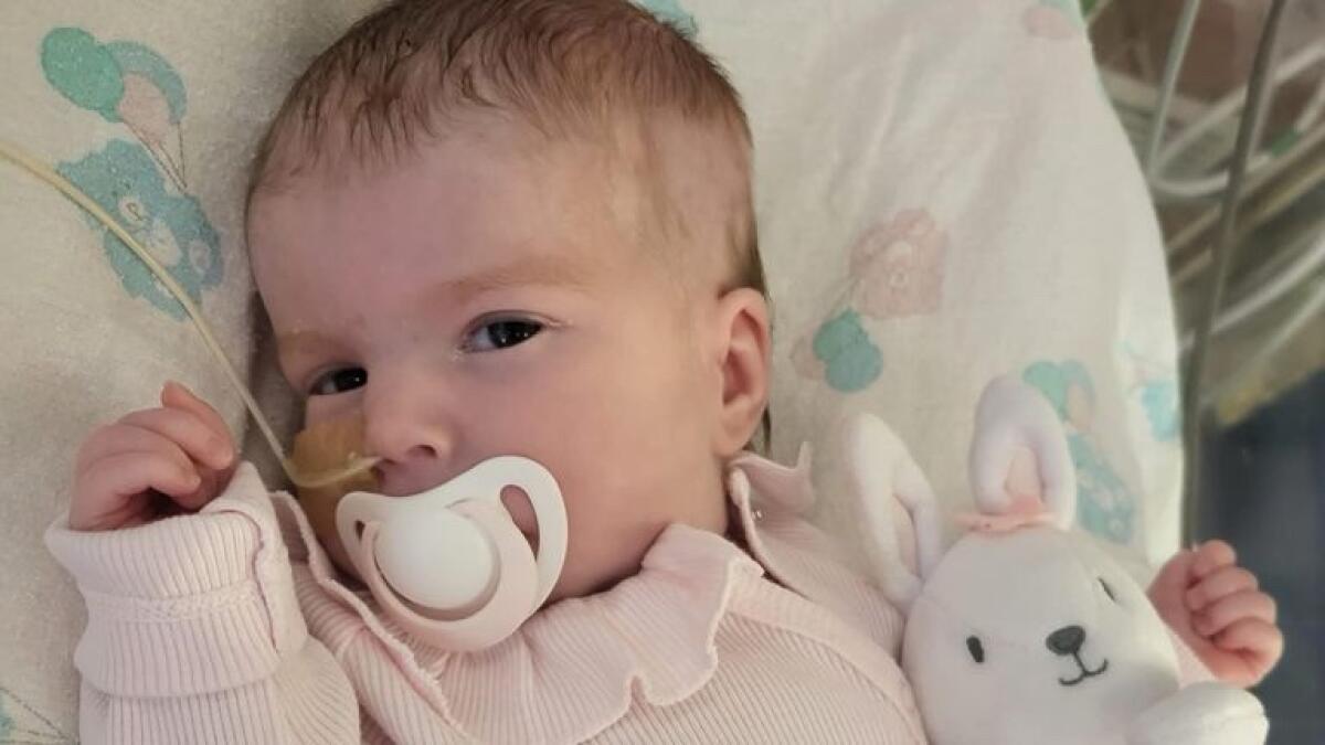 Eutanasia? La storia di Indi Gregory e il ricordo di Charlie Gard - 