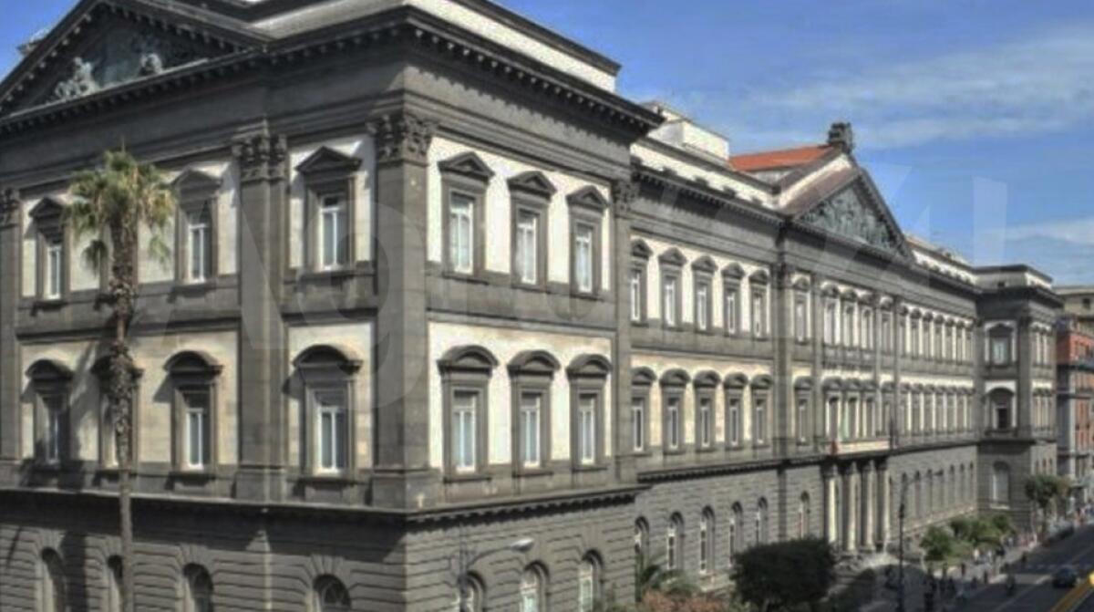Università Federico II: l'Ateneo statale più antico del mondo compie 800 anni, lunedì Mattarella a Napoli -
