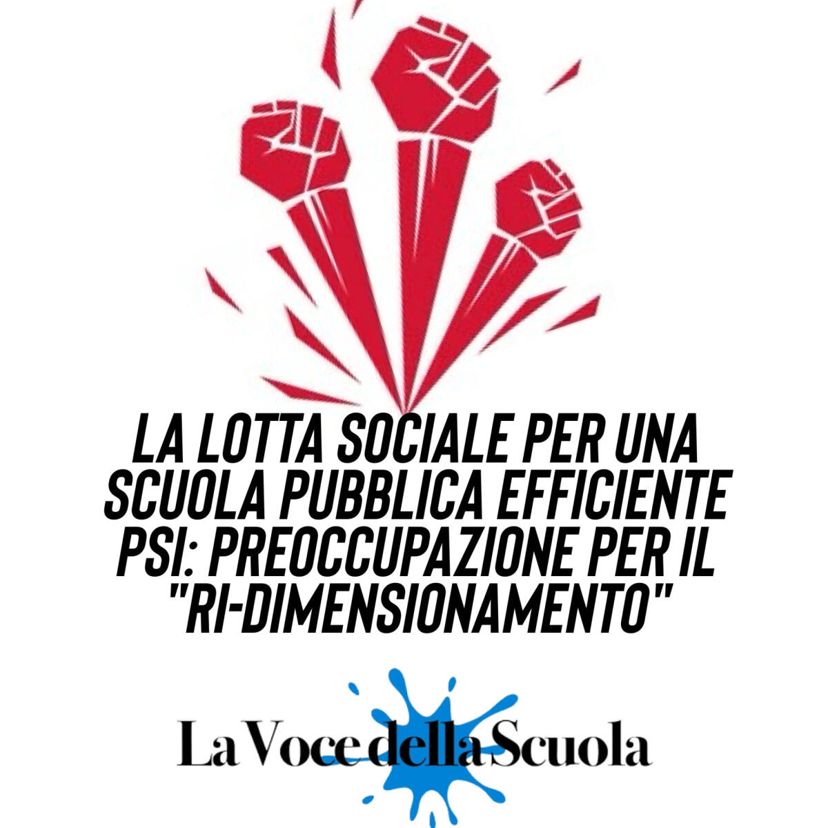 La lotta sociale per una scuola pubblica efficiente - PSI: preoccupazione per il "ri-dimensionamento" -