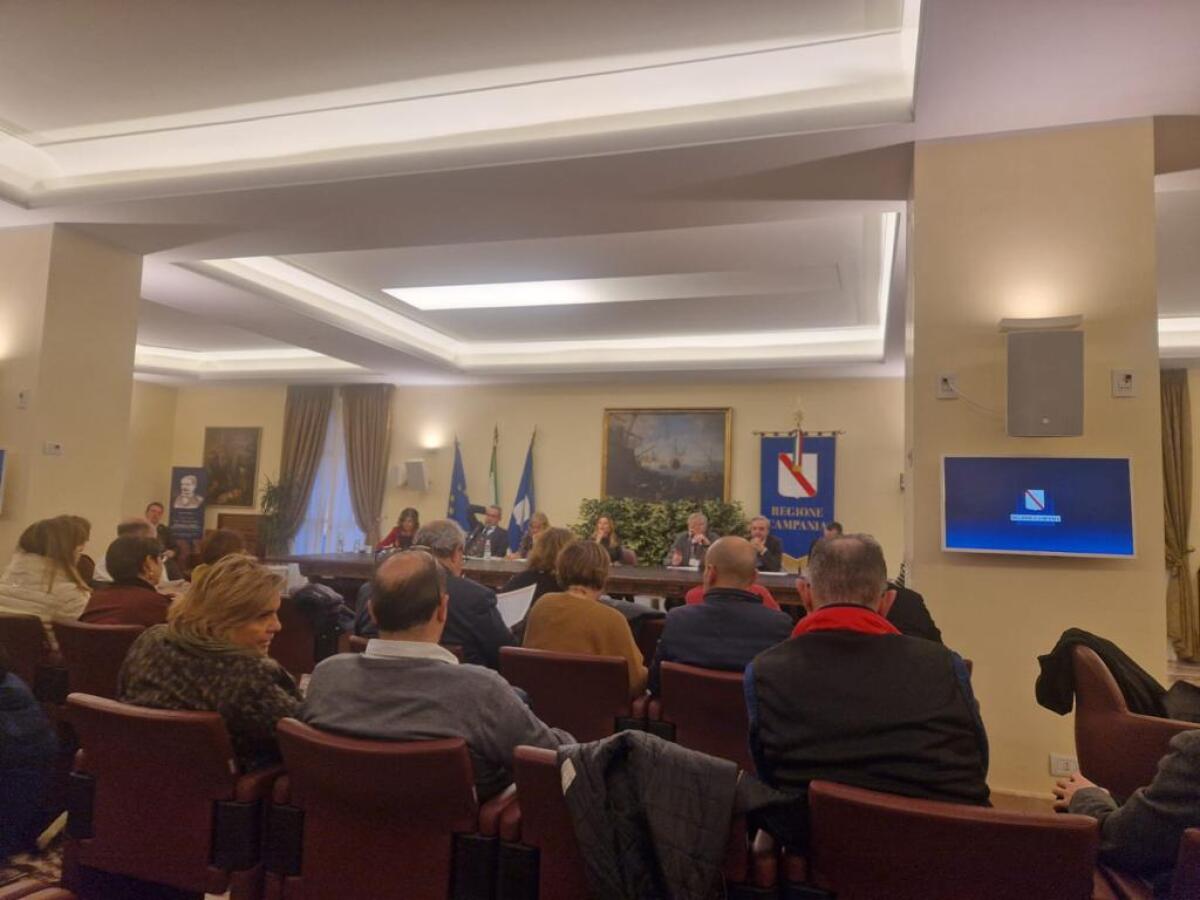 Anief Campania, incontro sul dimensionamento scolastico anno 2024-25 per la provincia di Salerno -