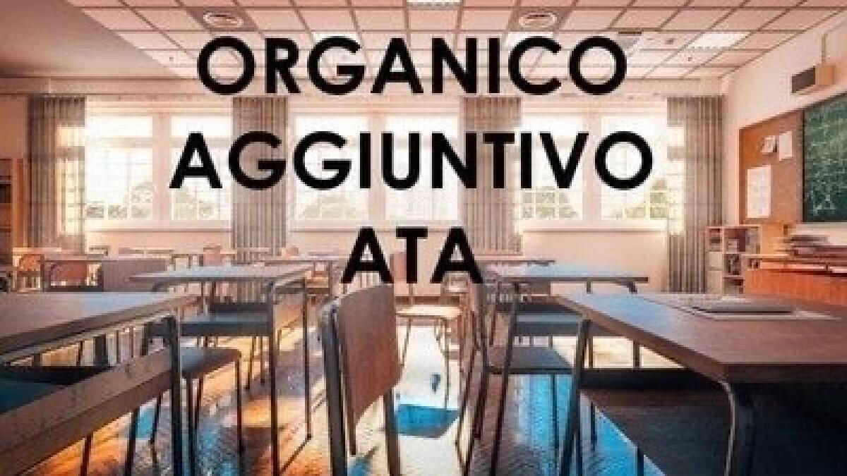 Lanciata petizione per chiedere: "Proroga dei contratti PNRR per assistenti amministrativi e tecnici" -