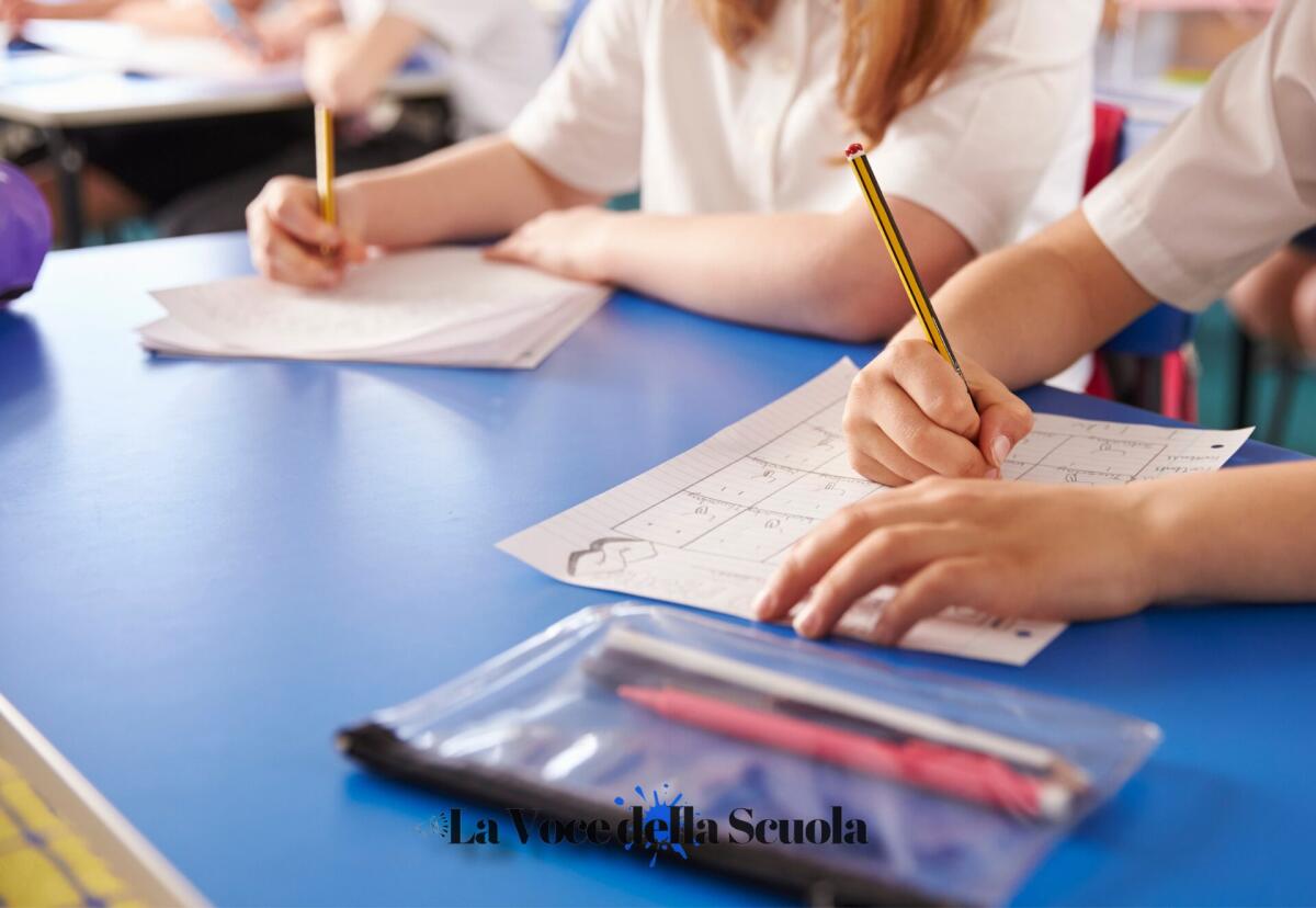 CONFERENZA STAMPA | Valutazione nella scuola primaria: non tornare indietro - 