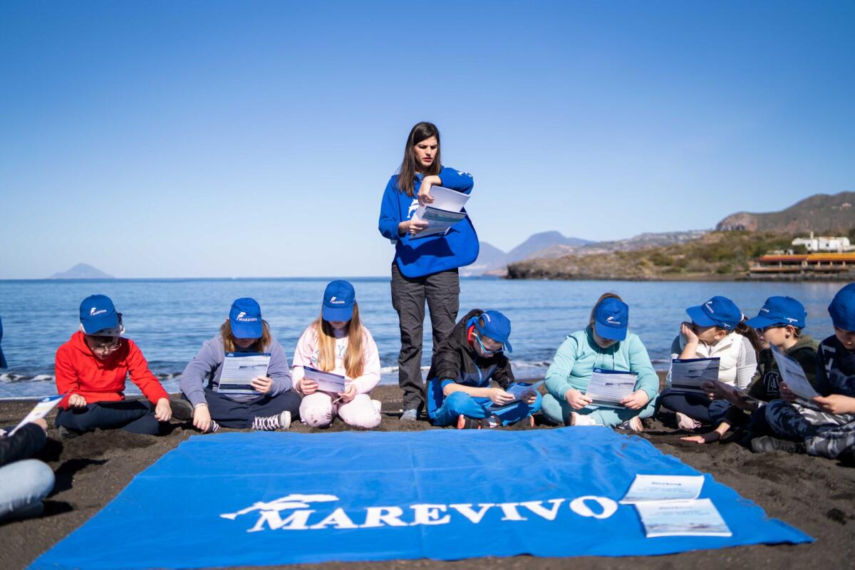Di nuovo in campo i futuri custodi del mare: Riparte il progetto di Marevivo "Delfini guardiani dell'isola" -