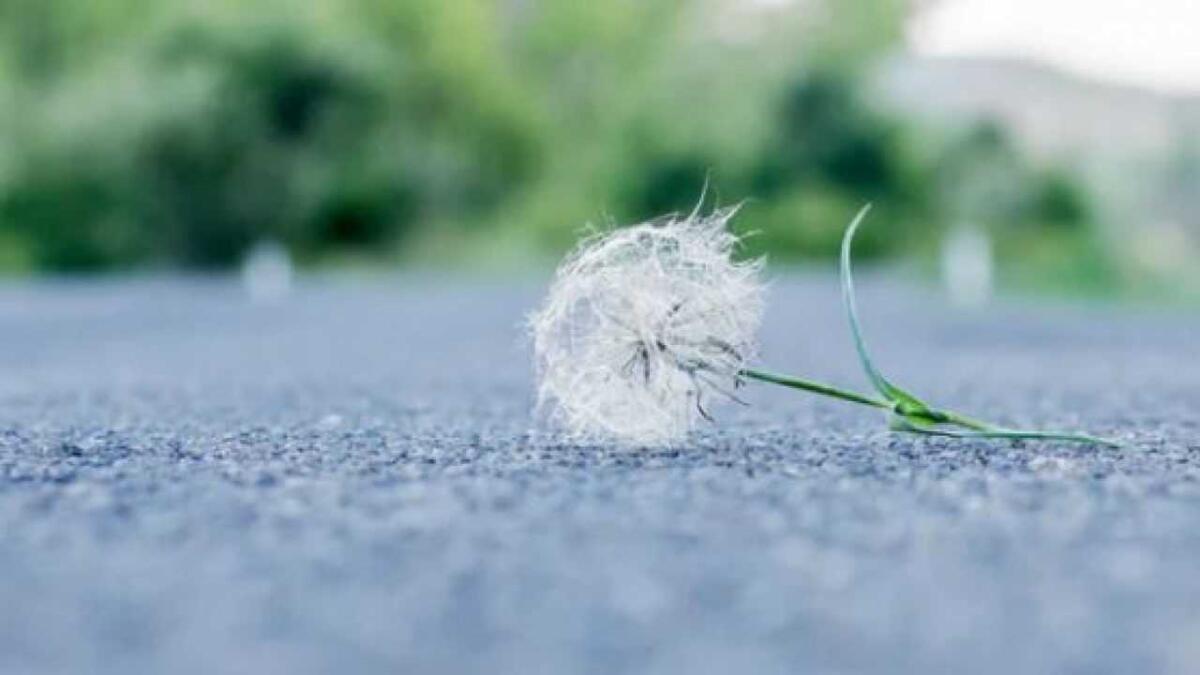 La fragilità dei nostri ragazzi. Il problema è negli spigoli -