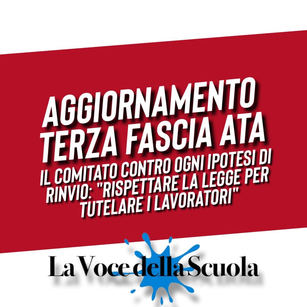 Aggiornamento terza fascia ATA, il Comitato contro ogni ipotesi di rinvio: "Rispettare la legge per tutelare i lavoratori" -