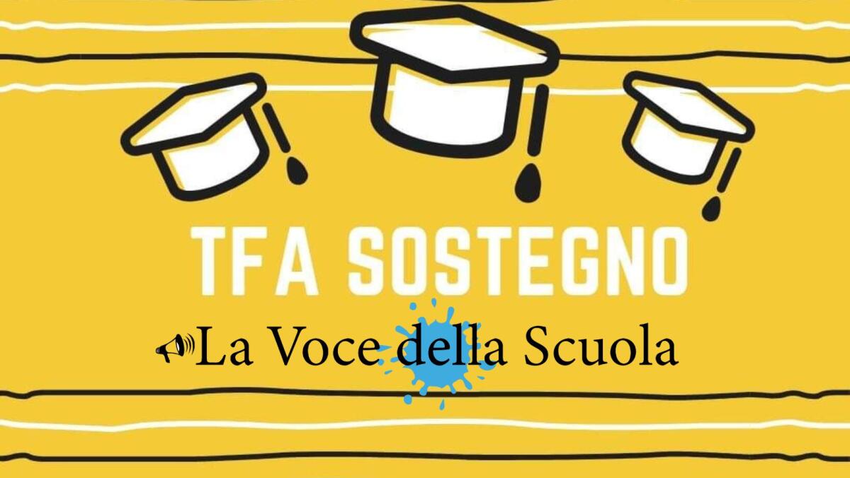 Tfa sostegno, irregolarità si procede a ricorso: posti mal distribuiti e presunte ambiguità nella prova preselettiva -