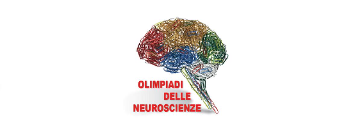 Campione delle olimpiadi delle neuroscienze -
