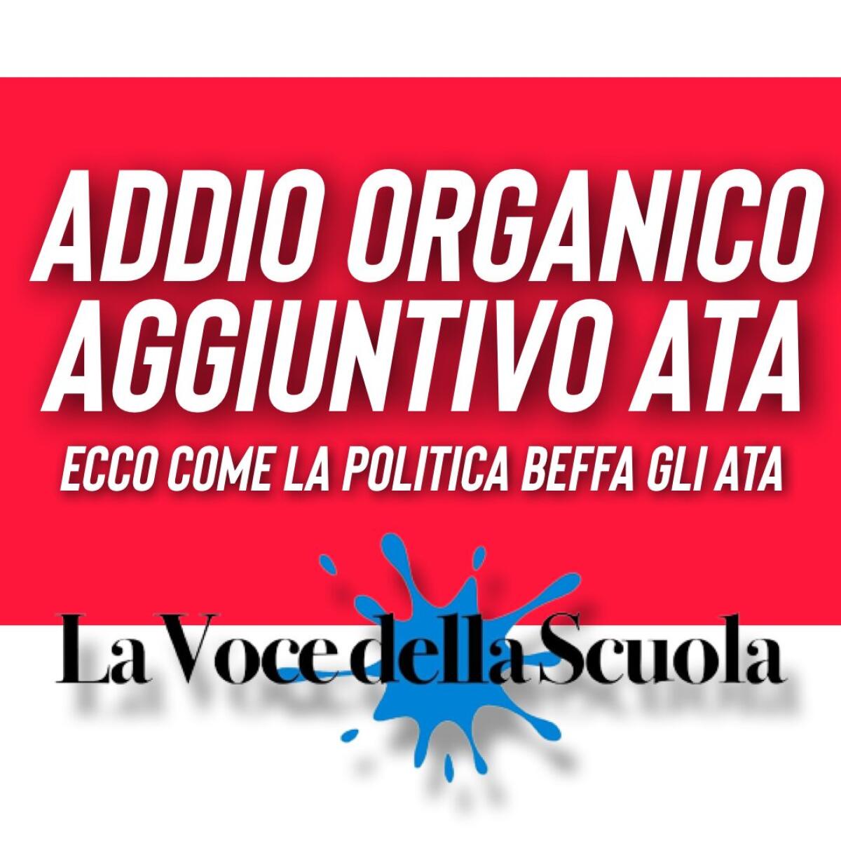 Addio organico aggiuntivo ecco come la politica beffa gli ATA - 