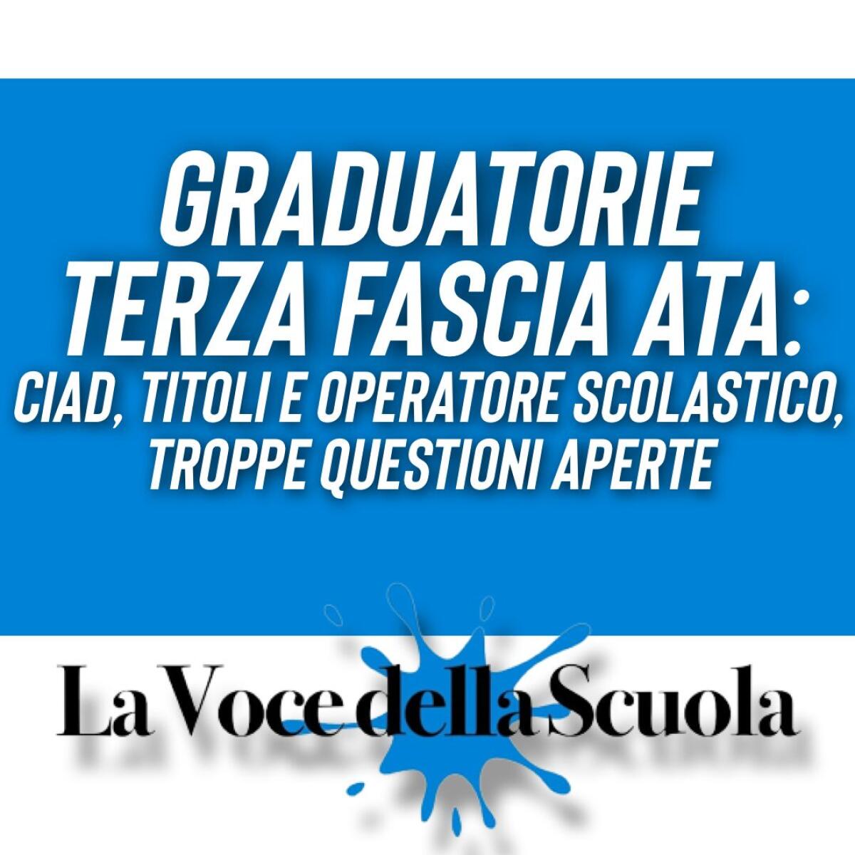 Graduatorie Terza Fascia ATA: Ciad, titoli e operatore scolastico, troppe questioni aperte -
