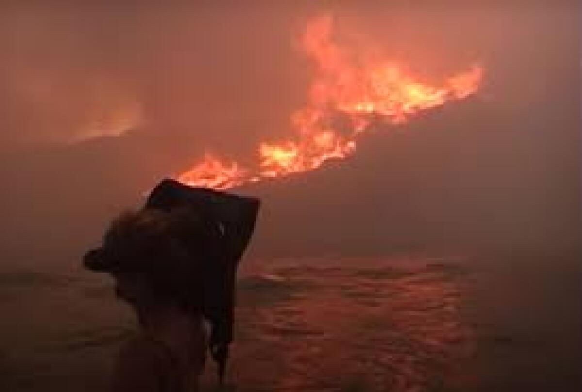 24 luglio 2007,Puglia. La tragica storia di Carmela, Romano Fasanella e Domenico De Nittis uccisi da un incendio doloso nel 2007 - 