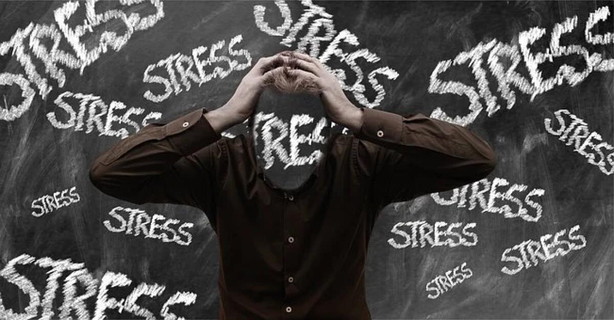 Allarme: il burnout. Una soluzione dal gruppo mobilità intercompartimentale docenti -