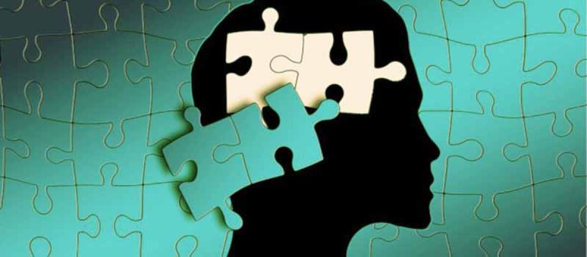 Manifesto Nuova Scuola: "Neurodidattica" - 
