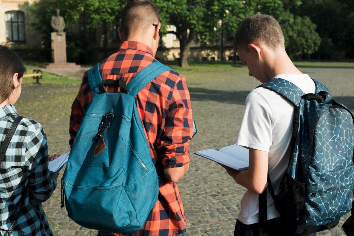 Nuova legge al contrasto del bullismo (70/24). Le necessarie integrazioni allo statuto degli studenti -