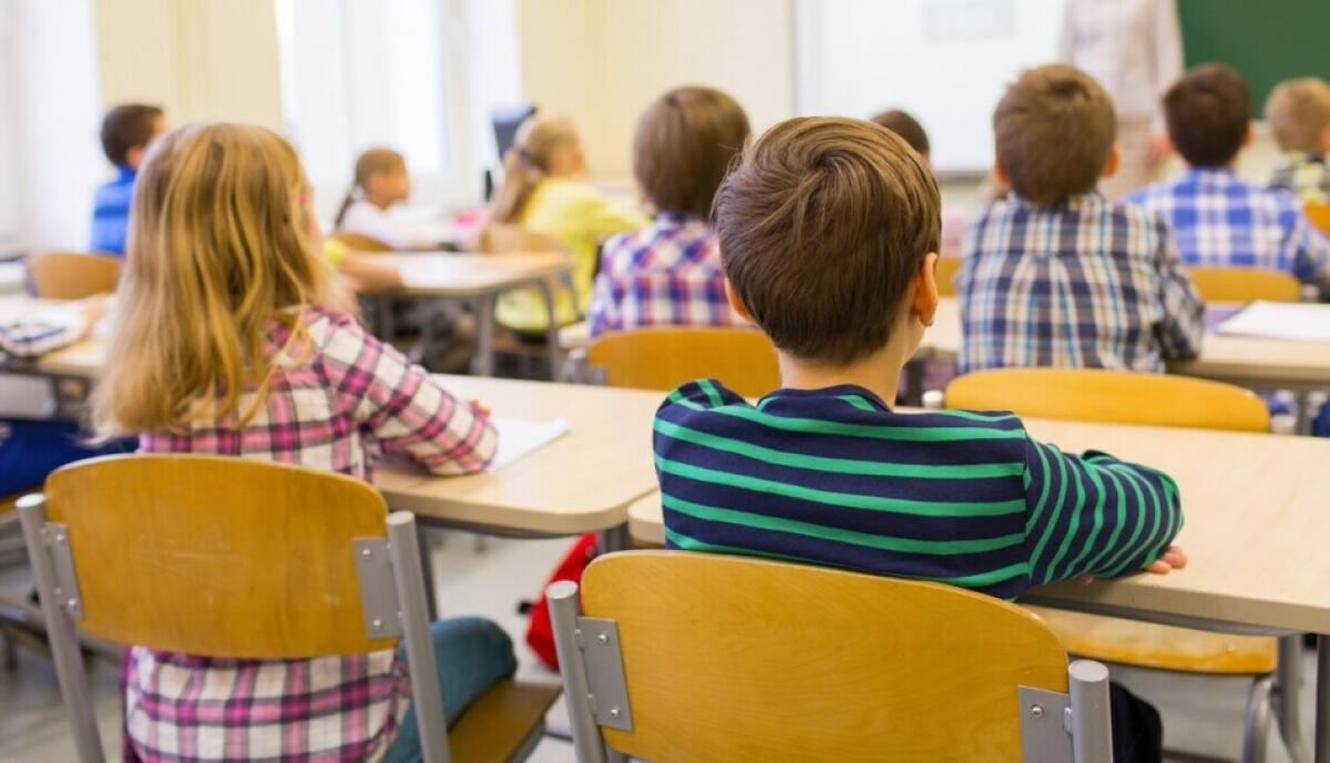 Scuola, rapporto OCSE, Castellana: e’ ora di investire sul futuro della nazione - 