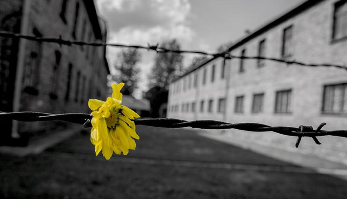 Giornata della memoria, un libro per non dimenticare - SONY DSC