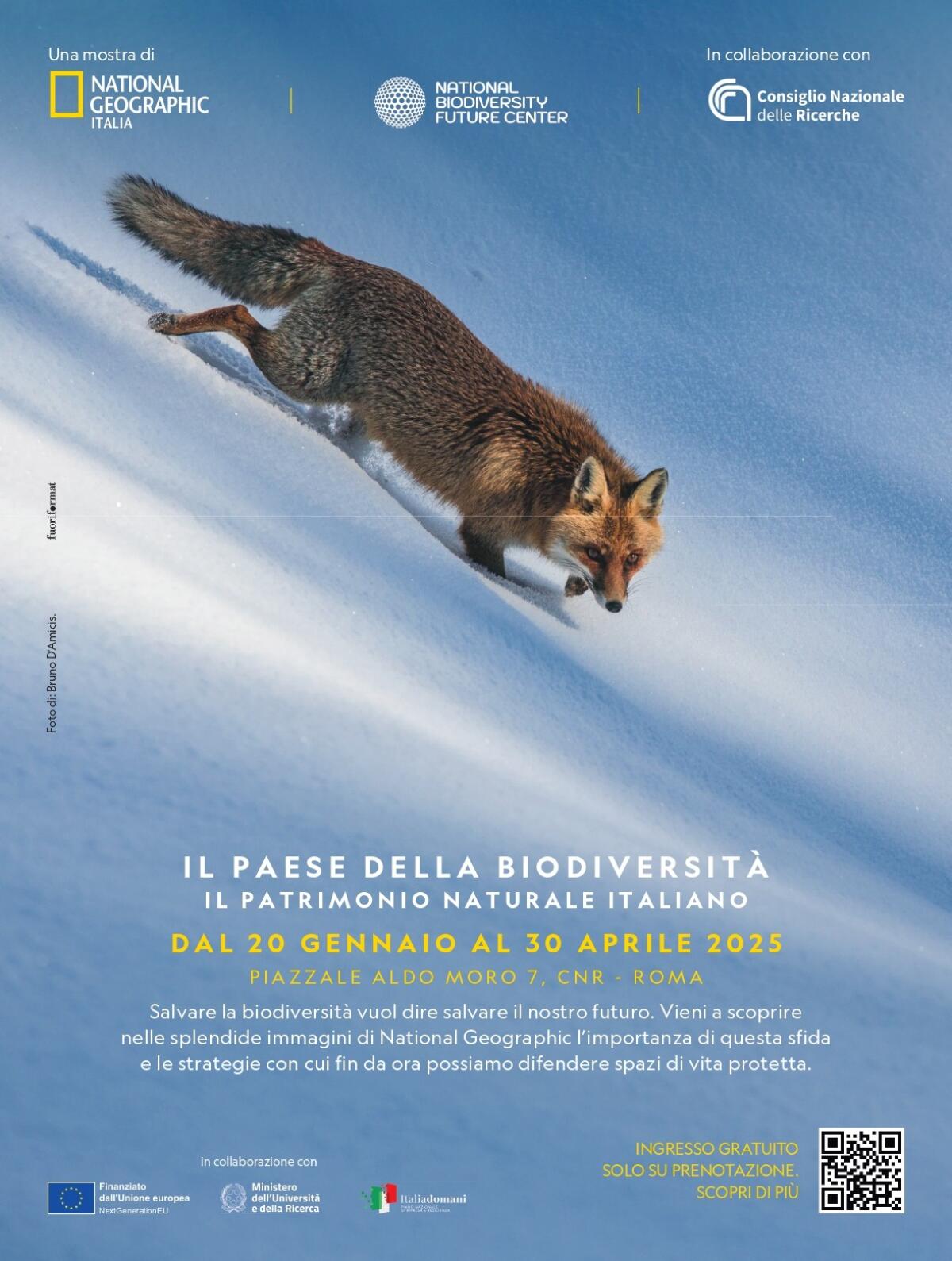 Il patrimonio naturale italiano: Mostra di National Geographic Italia e National Biodiversity Future Center (NBFC) in collaborazione con il CNR - 