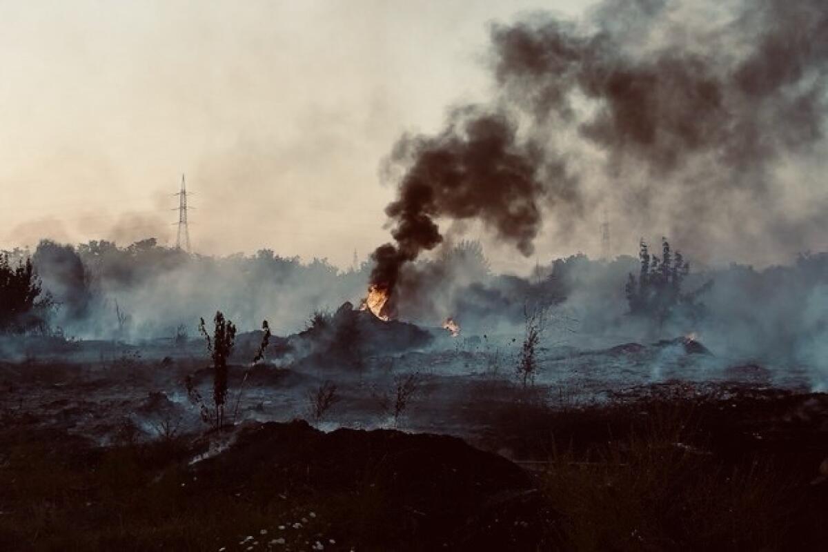 Terra dei Fuochi: la condanna arriva tardi, i morti no - 