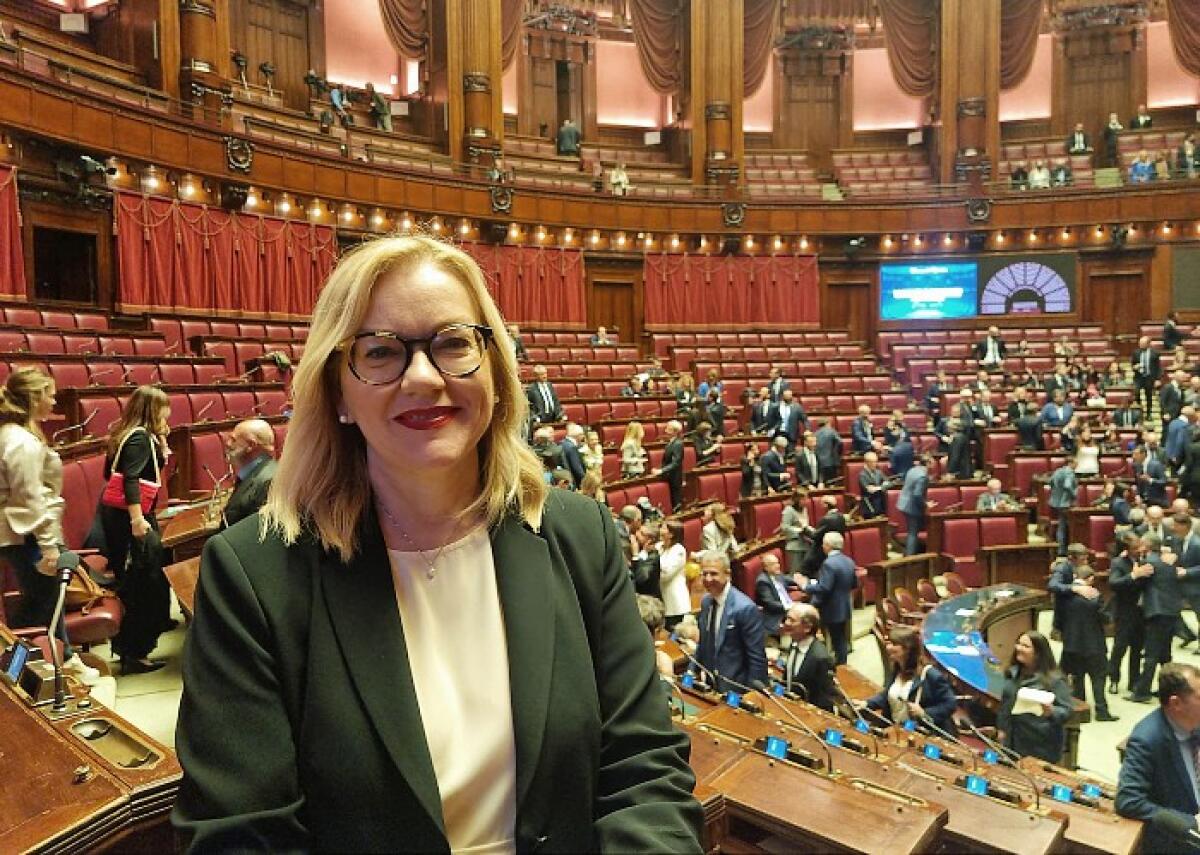 Sanità, Malavasi (Pd): Per riconoscimento ufficiale soccorritori definire standard nazionali di formazione -