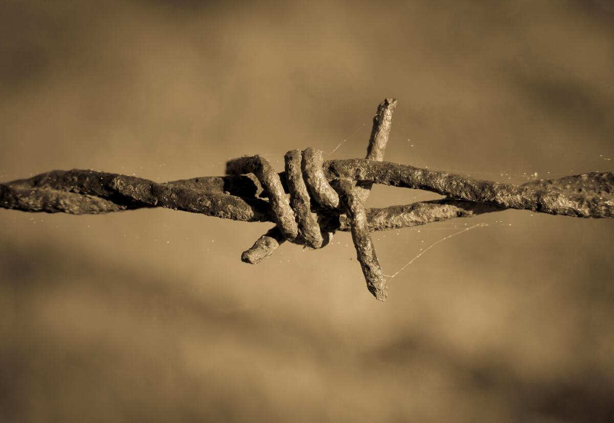 Gaza: non si può tacere davanti a una guerra contro i bambini. Appello alla società civile e al mondo della scuola per la pace - 